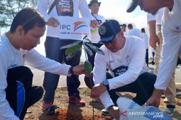 IPC Pangkalbalam hijaukan objek wisata Pantai Air Anyir