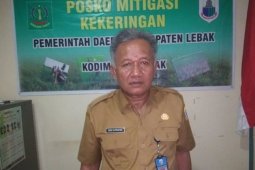 Akibat kemarau panjang, produksi jagung di Lebak turun