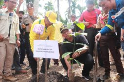 SKK Migas PetroChina gelar penanaman 10.000 kopi liberika di Sungai Terap