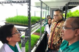 IPB kembangkan cara tanam berbasis teknologi SPARS mini plant factory