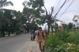 Bangkai babi kembali dibuang di pinggir jalan di Kota Medan