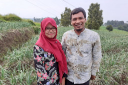 Kisah petani bawang putih Tegal naik haji