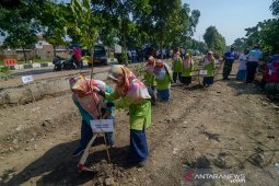 Program Bandung Menanam