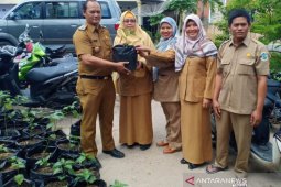 Pemprov Bangka Belitung bagikan bibit cabai tekan inflasi