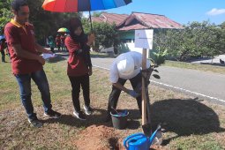 PT. PLN MMU tanam 1.000 pohon