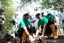 PLN UIW Sulselrabar gandeng IKMP tanam 1.500 bibit pohon