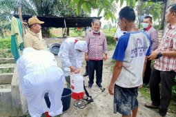 Balai Viteriner Medan ambil sampel babi mati di Simalungun