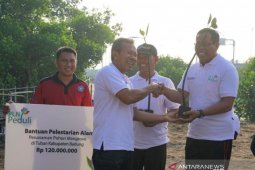 PLN Bali tanam ribuan pohon mangrove di Kampung Kepiting