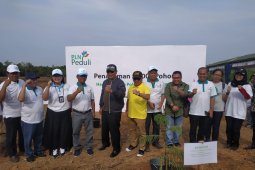 Paman Birin minta perusahaan swasta maupun pemerintah tanam pohon
