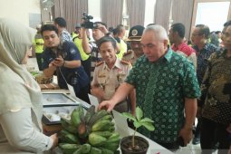 Pisang asal Kaltim masuki pasar ekspor ke Malaysia