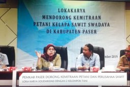 Kemitraan Perusahaan - Petani Sawit Swadaya Bisa Tingkatkan Kesejahteraan