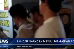 Bandar narkoba menyerahkan diri
