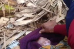 Polisi Magetan selidiki kasus pembuangan bayi di kebun pisang