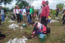 PT Timah-FKPM tanam 1.000 batang pohon pelawan