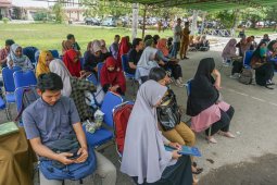 Tercatat 2.263 orang mendaftar CPNS di Kabupaten Paser