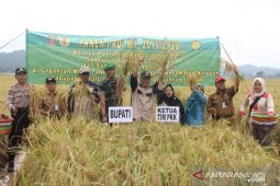 Bupati HST panen padi Gogo