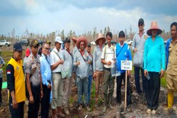 Ahli IPB ambil sampel lahan di  PT TAL dan PT ABS yang terbakar