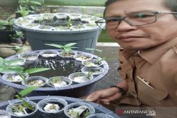 Pemkab Tapsel ajak masyarakat kembangkan Budikdamber