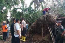 Seorang terluka dan puluhan rumah di Jember rusak akibat puting beliung