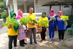 Lomba pemanfaatan pekarangan tingkatkan gairah Kelompok Wanita Tani bercocok tanam