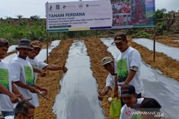 LAJ selenggarakan pelatihan budidaya sayuran di Tebo Jambi