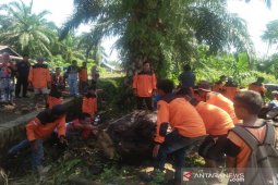 Minimalisir banjir, BPBD Tapsel dan Relawan gotongroyong bersihkan saluran air