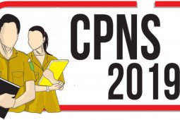 687 pelamar CPNS Bengkulu lolos seleksi administrasi