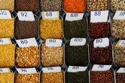 FAO: Harga pangan dunia naik lagi