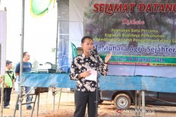Bupati Bangka berharap pabrik sawit  bantu sejahterakan masyarakat