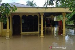 Delapan kecamatan dilanda banjir di Aceh Timur