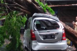 Angin kencang terjang Kediri, sejumlah kendaraan rusak tertimpa pohon