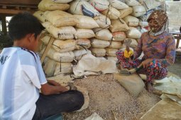 Bergelimang harta berbungkus "PETI" di Sumbawa Barat