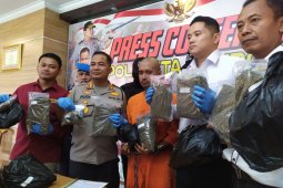 Polresta Denpasar tangkap kurir bawa ganja 7,6 kilogram