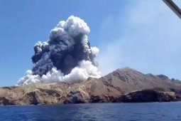 "Tak ada tanda kehidupan"  di pulau gunung meletus Selandia Baru