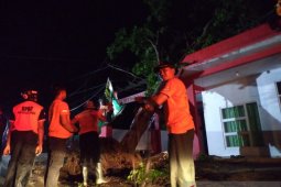 BPBD lansir Lima kecamatan di Jember diterjang angin kencang dan longsor