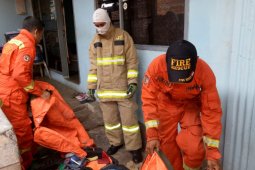 Petugas Damkar dipanggil karena dikira ada ular di plafon, tapi ternyata ini