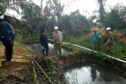Pemkab Landak kaji pupuk dari air limbah sawit