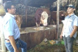 Dosen Universitas Brawijaya ajari peternak olah limbah industri tempe jadi biogas