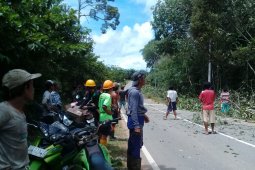 PLN pasok listrik 24 jam ke enam desa di Kalbar
