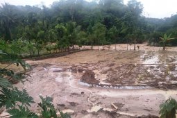 Sembilan rumah di Solok Selatan rusak dihantam arus Sungai Batang Suliti