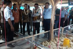Kemenkumham dirikan tempat pelatihan ternak ayam bagi warga binaan Lapas Garut