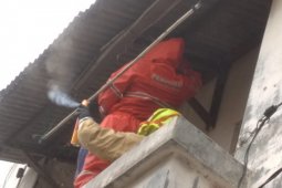 Seorang pria Bekasi tewas disengat tawon