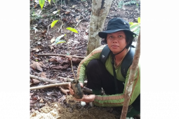 Seorang warga perbatasan hilang di hutan rehabilitasi Kalimantan