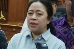 Ketua DPR dukung RUU Provinsi Bali