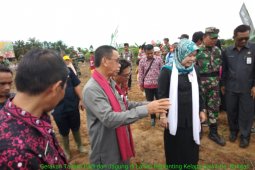 Distan Paser lakukan gerakan tanam jagung dan padi