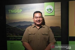 Gunung Gede Pangrango ditutup untuk pendakian selama 3 bulan