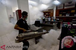 Kasus DBD di Mataram terus meningkat