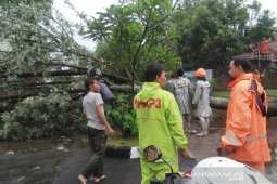 Hujan deras sebabkan banjir dan pohon tumbang di Bandung
