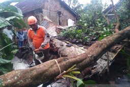 Strong wind, heavy rains damage a dozen of houses in Jember