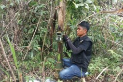 LSM bantu kamera trap pantau harimau di Sumsel